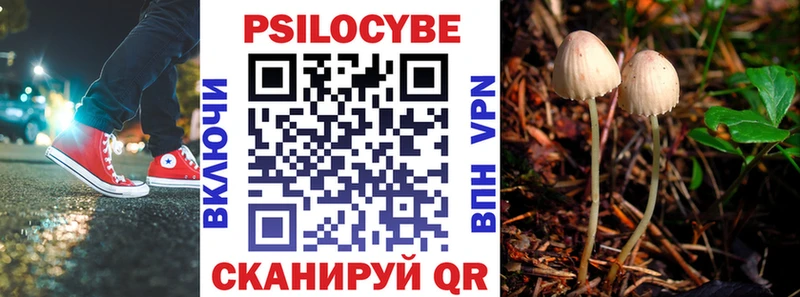 Галлюциногенные грибы прущие грибы KRAKEN маркетплейс Демидов